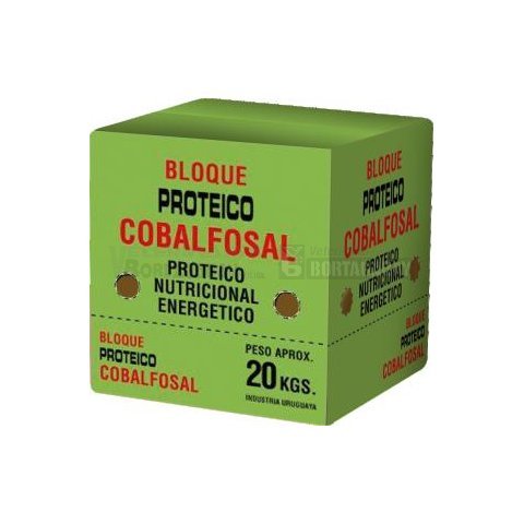 BLOQUE PROTEICO