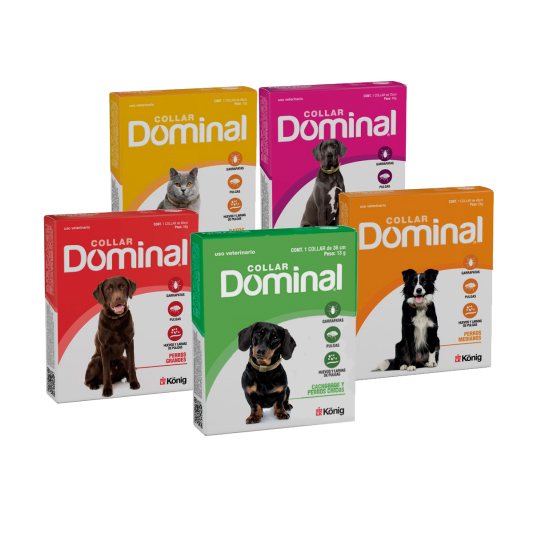 COLLAR DOMINAL