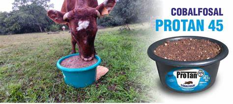 PROTAN 45