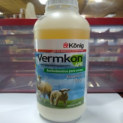 VERMKON Apr