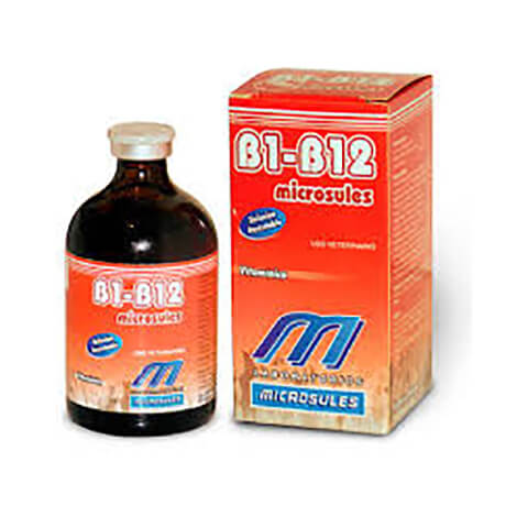 B1-B12