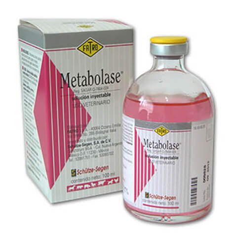 METABOLASE