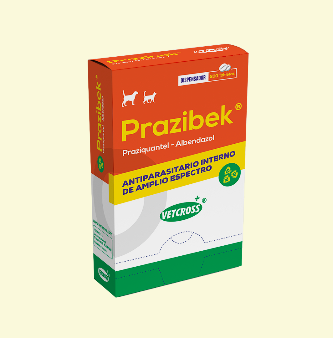 PRAZIBEK